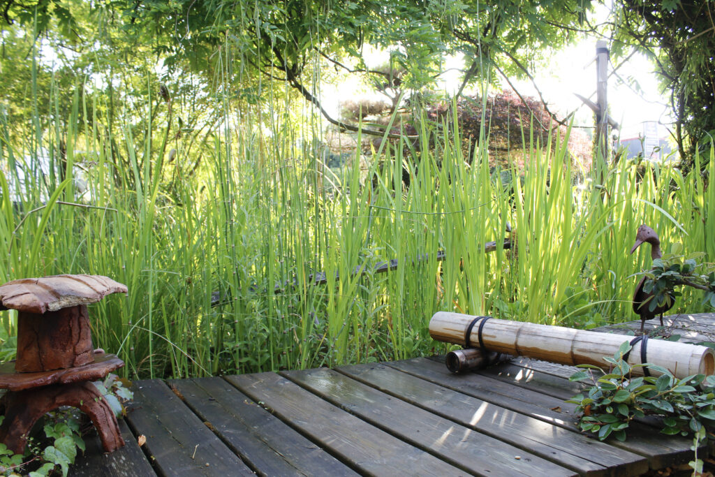 pillet_paysages_entreprise-01 Entreprise de paysagisme à Niort depuis 1984. Jardins durables, bassins, biodiversité et design naturel. Une équipe passionnée à votre écoute.